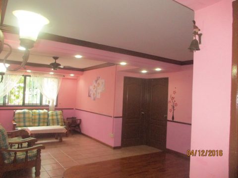  217 Jurong East Street 21