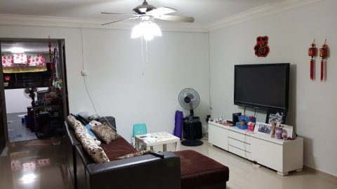  219 Jurong East Street 21